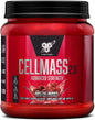 Cellmass Amino Acids Powder, Arctic Berry, 1.09 Lbs